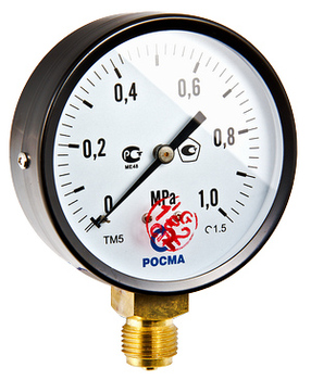 Манометр TM-510P с нижним подключением, 1/2", 0-6 бар, TM-510P.0406 - картинка 1